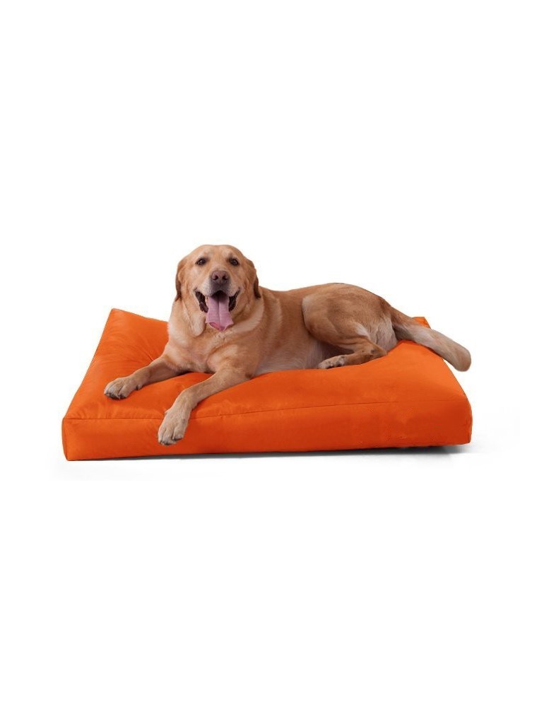 Pelech_Bigdog_oranzovy_90X50X20cm_EMI