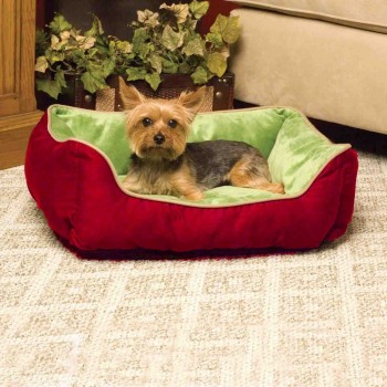 Pelech Miška červený...