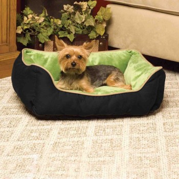 Pelech Miška čierny...