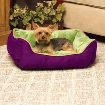 Pelech Miška fialový...