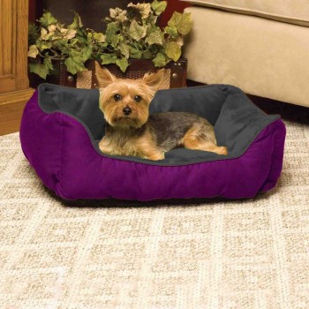 Pelech Miška fialovočierna...