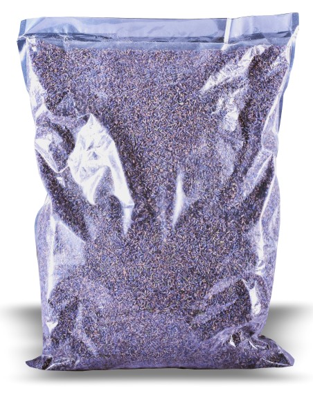 susena_levandula_EMI