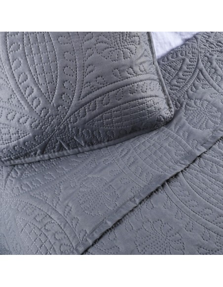 Sivy_prehoz_na_postel_Paris_EMI