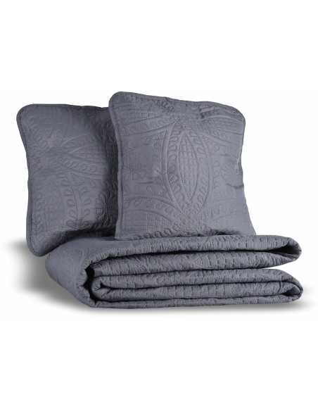 Sivy_prehoz_na_postel_Paris_EMI