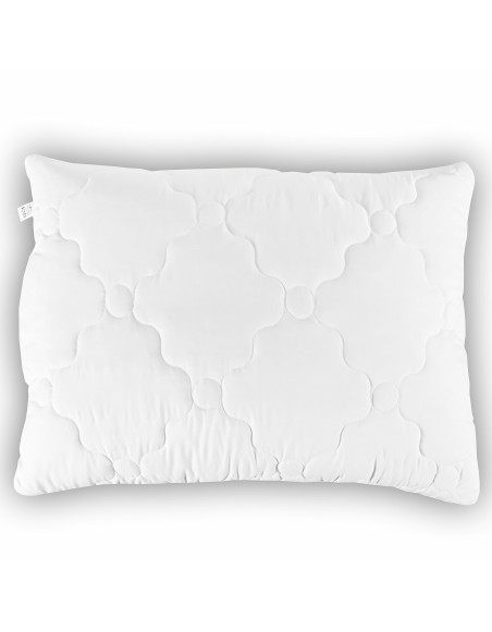 Vankus_70x90_antialergicky_presivany_EMI_premium