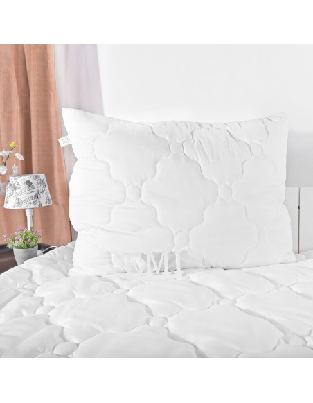 Vankus_70x90_antialergicky_presivany_EMI_premium