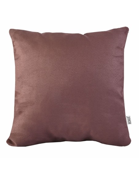 Vankus_hnedy_semis_EMI