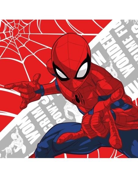 FARO Detský uterák Spiderman 30x30 cm