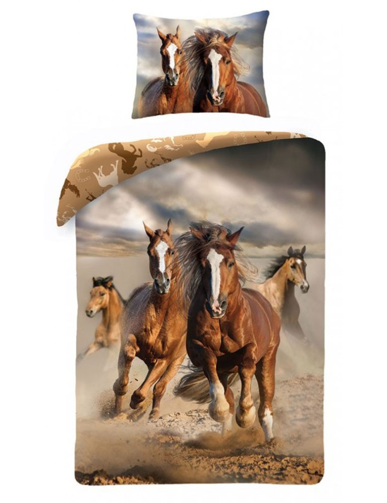 obliecky_divoke_kone