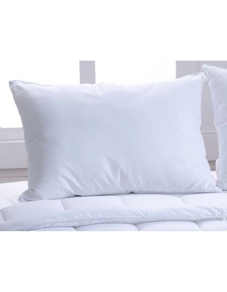 Vankus_70x90_antialergicky_EMI_standard