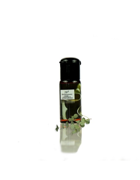 AirPleasure Éterický olej eukalyptus a mäta prieporna 15 ml