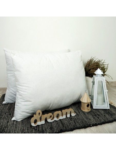 Vankus_50x70_antialergicky_EMI_standard