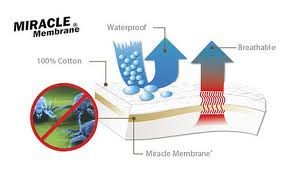 Stop roztočom Stop roztočom