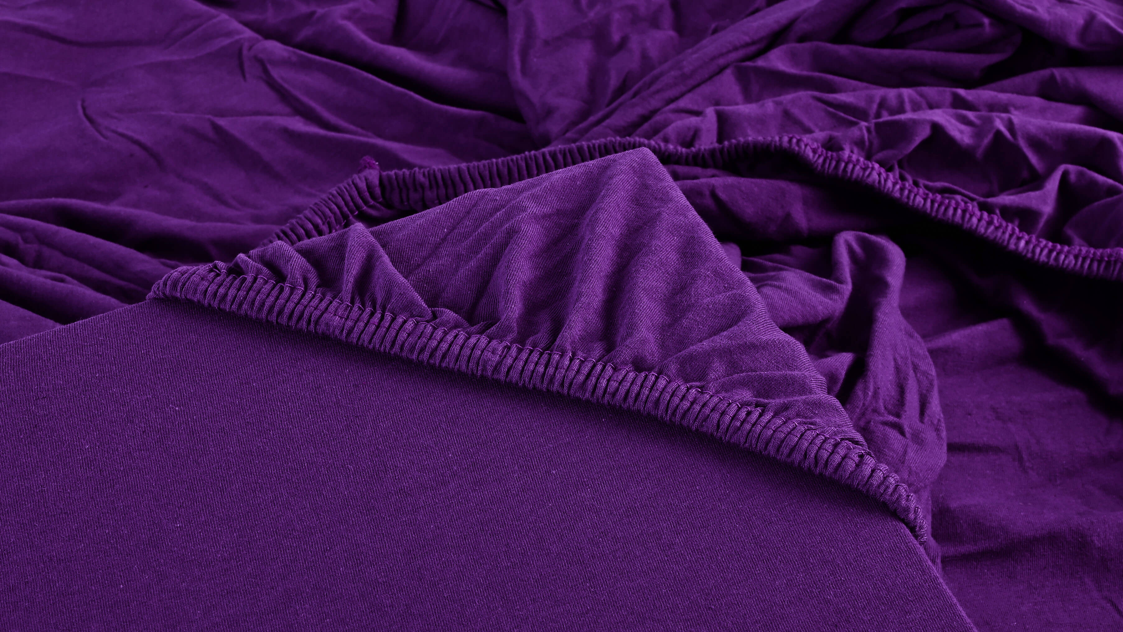 fialova jersey plachta