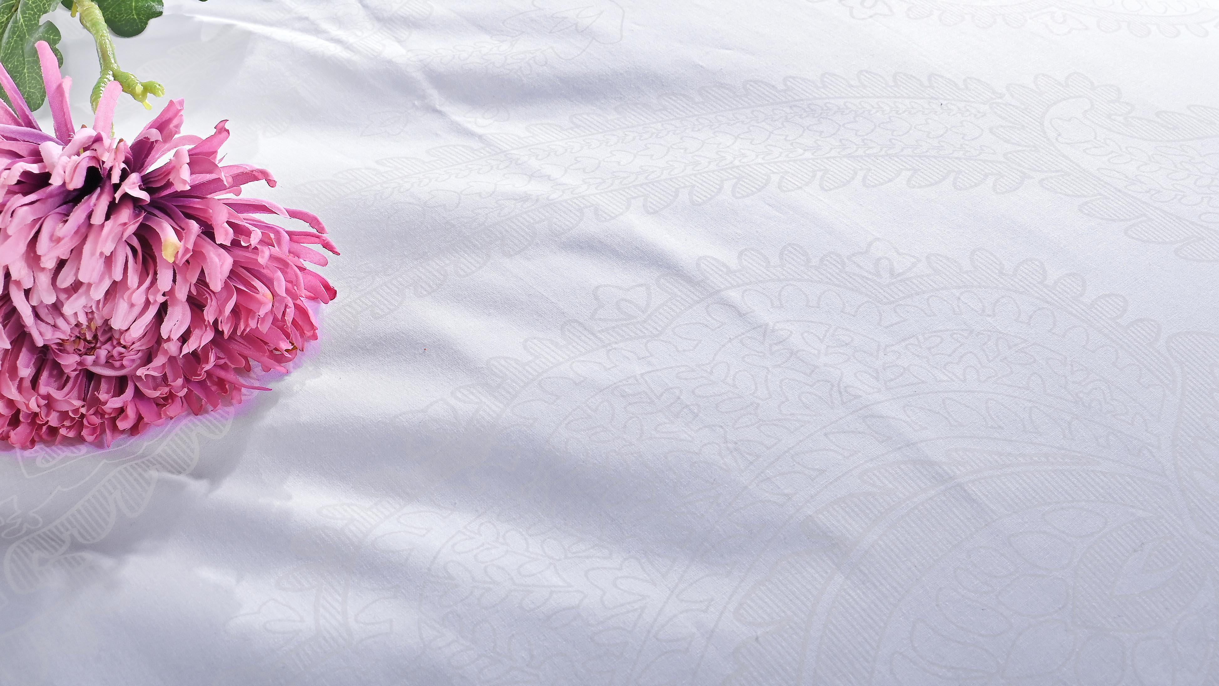 biele obliecky benard