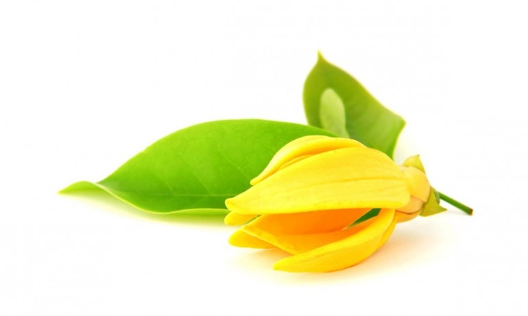 éterický olej ylang-ylang