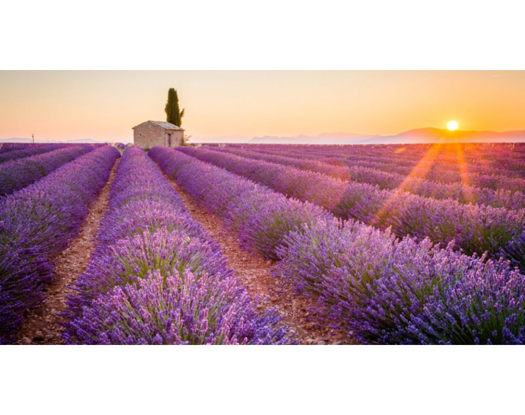LEVANDUĽOVÉ VANKÚŠE A PAPLÓNY - V ČOM SPOČÍVA ICH KÚZLO?