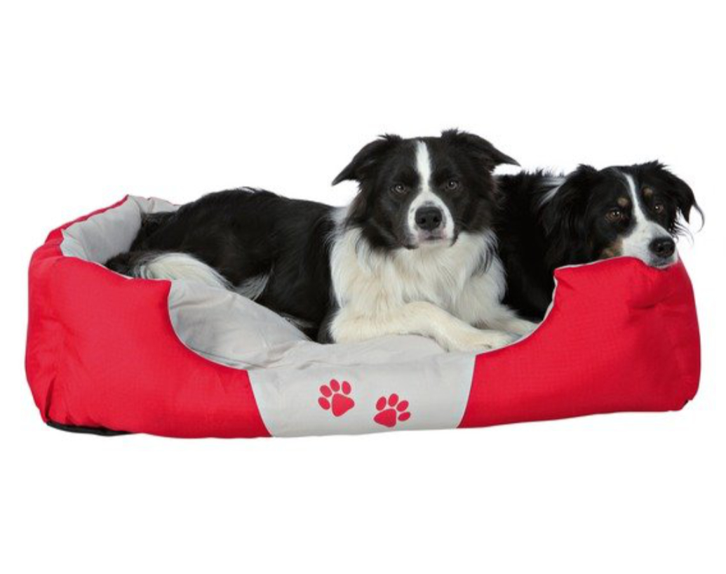 HOGYAN VÁLASSZUNK FEKHELYET A HÁZIÁLLATOKNAK?