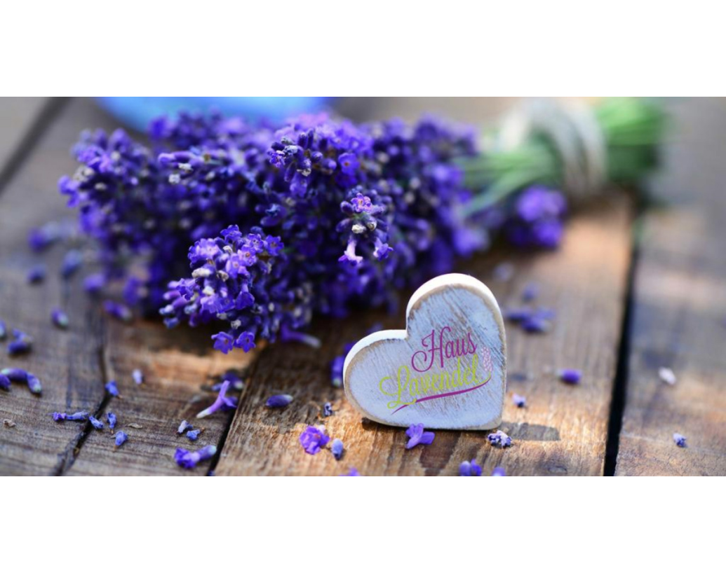 28 unikátních účinků levandule a tajný tip navíc